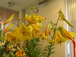 Foto: Dr. Peter Müller